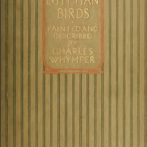 whymper-egyptian-birds-1909.png